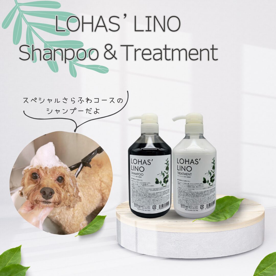 Option紹介・シャンプー編③～ロハスリノシャンプー～ - 呉市の